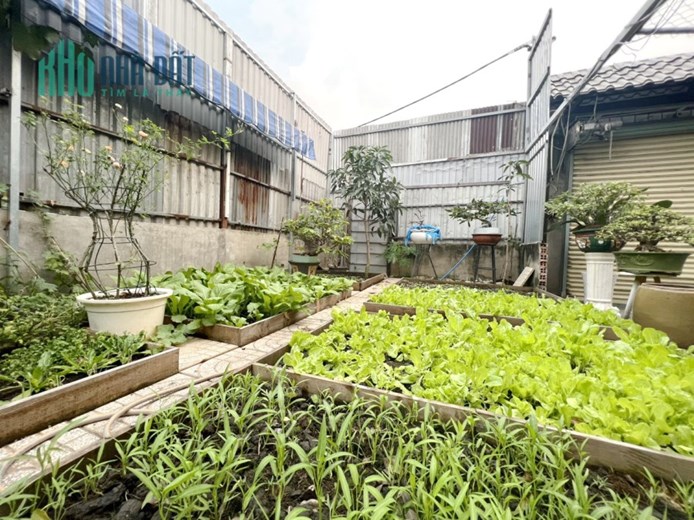 Bán gấp nhà vườn (12x17m) hẻm xe tải đường Phạm Hùng, xã Bình Hưng Bình Chánh