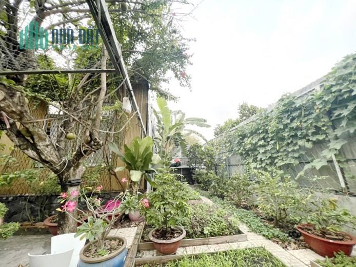Bán gấp nhà vườn (12x17m) hẻm xe tải đường Phạm Hùng, xã Bình Hưng Bình Chánh