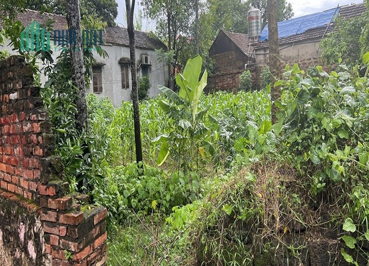 BÁN ĐẤT XÃ NAM PHƯƠNG TIẾN, CHƯƠNG MỸ, HÀ NỘI - GIÁ SIÊU ĐẦU TƯ