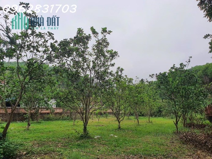 chủ cần tiền bán nhanh lô đất 900m xe oto tải tránh nhau giá cắt lỗ