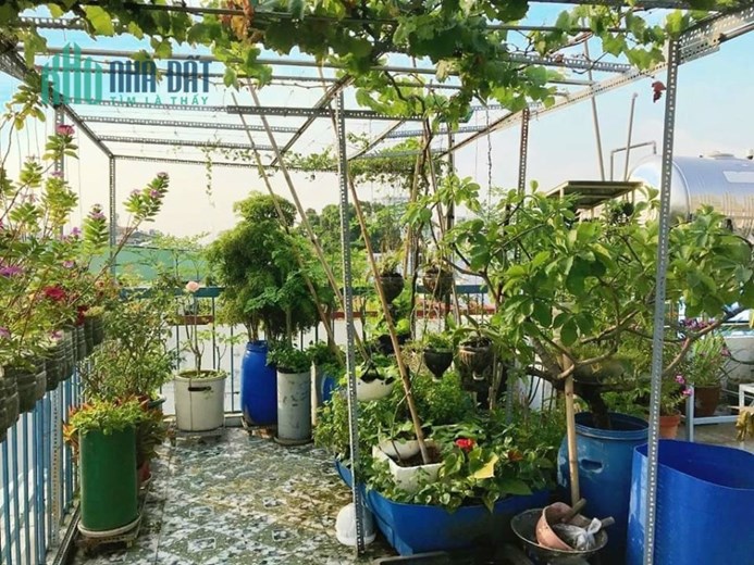 NHÀ BÁN NGAY  PHAN VĂN TRỊ ĐƯỜNG NGUYỄN DU GÒ VẤP. 10M RA MẶT TIỀN - 4 TẦNG.65M2. GIÁ TỐT.