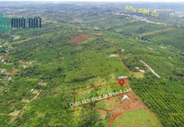 Bán 3 sào 7 đất nông nghiệp Quảng Tân, Tuy Đức, Đắk Nông