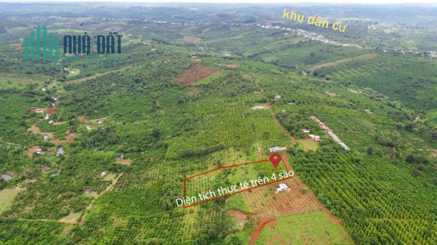 Bán 3 sào 7 đất nông nghiệp Quảng Tân, Tuy Đức, Đắk Nông