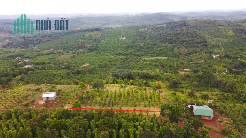 Bán 3 sào 7 đất nông nghiệp Quảng Tân, Tuy Đức, Đắk Nông