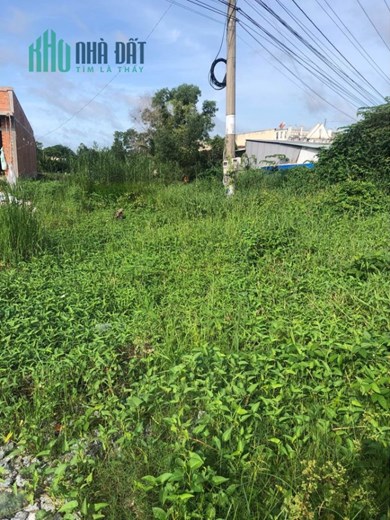 Chính Chủ Cần Cho Thuê 1200m2 Đất Mặt Tiền Kinh Doanh.