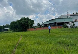 Chủ Ngộp Bán Đất Bình Chánh 80m2 Thổ, Hoàng Phan Thái, Đường 6met.