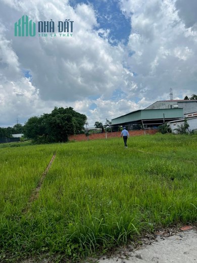 Chủ Ngộp Bán Đất Bình Chánh 80m2 Thổ, Hoàng Phan Thái, Đường 6met.