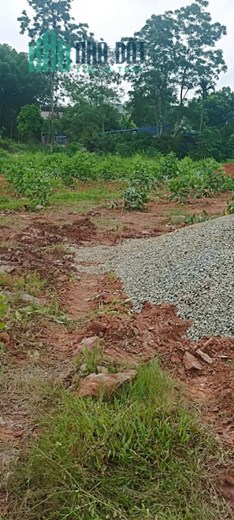 vừa ra sổ bán mấy lô F0 260 m2 80m TC mặt tiền 8m nở hậu nằm trên trục đường nhựa 269b ngay sát đền