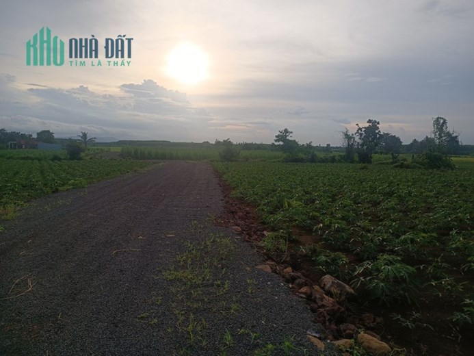Chính chủ bán 6868m2 đất Phước Long Thọ, SHR chỉ 9.3 tỷ. Lh:0901757660