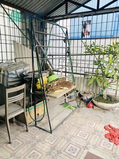Bán nhà phân lô Ngõ 100 Nguyễn Xiển, ngõ thông, ô tô tránh, sổ đỏ đẹp, kinh doanh, 88m*5T
