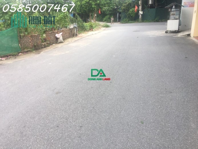 Bán đất đấu giá Tiên Hội Đông Hội Đông Anh sát dự án Vinhomes Cổ Loa