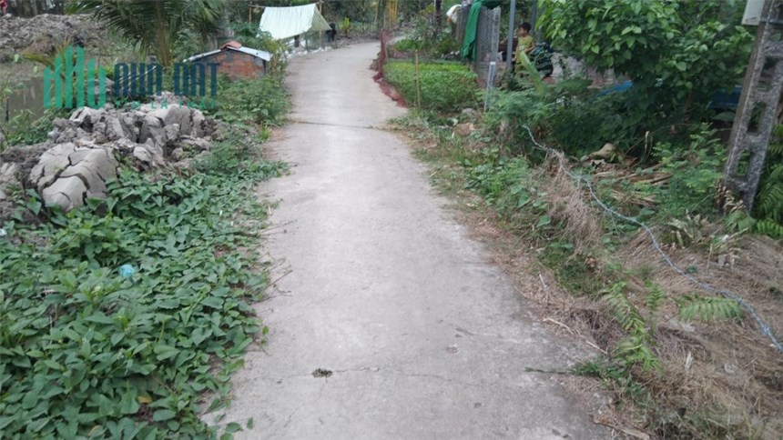 CHÍNH CHỦ CẦN BÁN NHANH Lô Đất Tại xã Đông Thuận, huyện Thới Lai, Cần Thơ