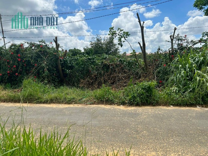 ĐẤT CHÍNH CHỦ VỊ TRÍ ĐẸP CẦN RA NHANH Tại huyện Bảo Lâm, tỉnh Lâm Đồng