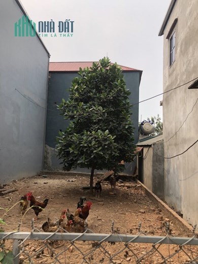 Nhỉnh Tỷ Bạn Sở Hẫu Ngay Lô Đất Trục Chính, Đường Thông, Ngay Đường Vành Đai 4.Lh 0963886233