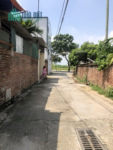 Bán đất Cự Khối, Ô tô, Gần phố, 155 m2, MT 7,5m, chỉ nhĩnh 7 tỷ.