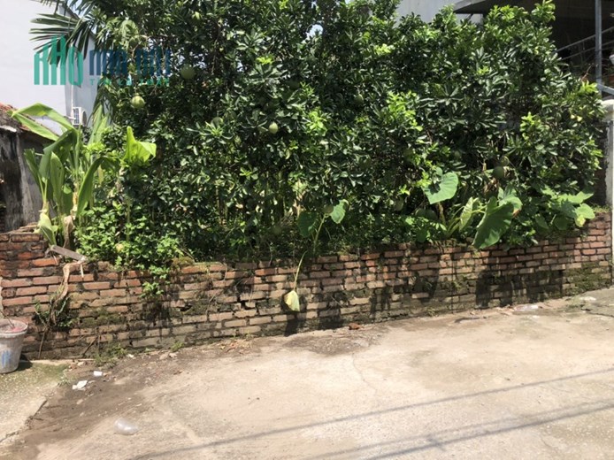 Bán đất Cự Khối, Ô tô, Gần phố, 155 m2, MT 7,5m, chỉ nhĩnh 7 tỷ.