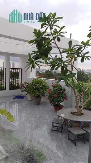 Chủ Gấp Bán Định Cư, 80m2 (4x20) 5 Tầng, Trần Hưng Đạo Quận 1, Thu nhập 100tr.tháng