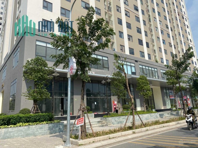 Bán 2 căn shophouse IEC Residences Tứ Hiệp , mặt đường đôi Vũ Lăng.