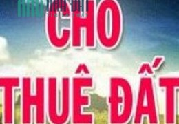 Cần bán hoặc cho thuê nhanh Nhà Xưởng Tại Thôn Trung Hoà – Xã Nghĩa Trung – Huyện Việt yên – Tỉnh