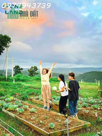 Em DƯƠNG chỉ còn 03 lô cuối cùng ĐẤT NỀN NGHỈ DƯỠNG BẢO LỘC với giá RẺ NHẤT THỊ TRƯỜNG