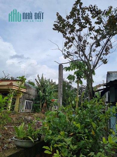 Nhỉnh 10 tỷ có ngay 720m đất mt Đặng Công Bỉnh, Hocmon