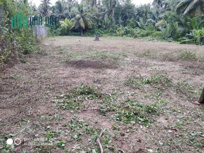 Chính Chủ Cần Bán GẤP Đất Tại Xã Tân Phú Tây - Mỏ Cày Bắc- Bến Tre.