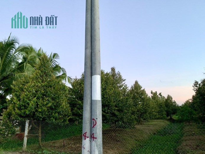 ĐẤT ĐẸP - GIÁ TỐT – Bán Lô Đất Vị Trí Đẹp Tại Trường Long - Phong Điền - Cần Thơ