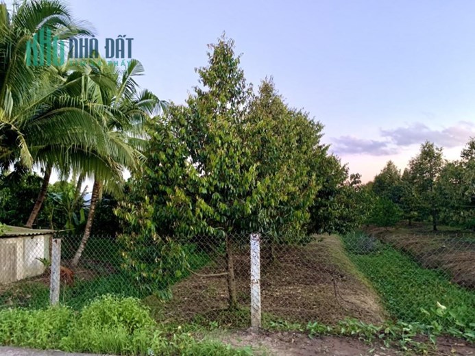ĐẤT ĐẸP - GIÁ TỐT – Bán Lô Đất Vị Trí Đẹp Tại Trường Long - Phong Điền - Cần Thơ