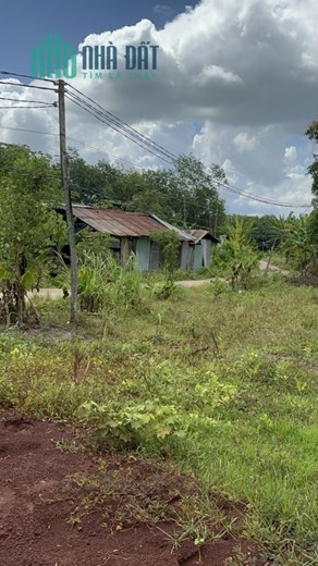 Cần bán gấp nền đất thổ cư 228m2 giá 199 triệu