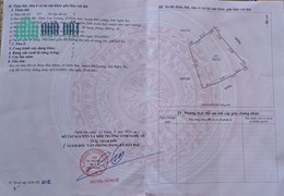 Cần Bán Nhanh Lô Đất Vị Trí Đẹp Tại Huyện Đô Lương, Tỉnh Nghệ An.