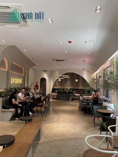 GIẢM CHÀO 5 TỶ BÁN GẤP MP VIP BÁN ĐẢO TỪ HOA 105M2L 7T, LÔ GÓC, MT gần 7,5M.