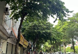Chỉ hơn 10 tỷ có nhà mặt phố, ở Thanh Xuân