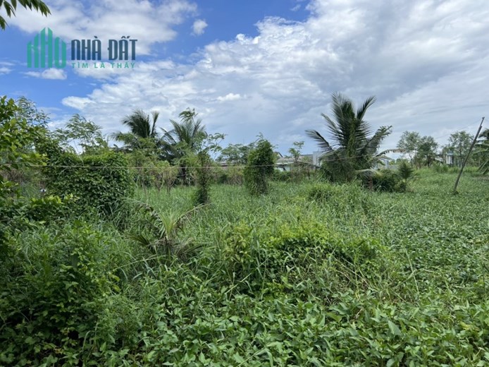 Chủ cần tiền nên cần bán mảnh đất tâm quyết của ông bà.