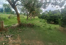 Vườn trái cây siêu đẹp tại Cư ÊWi – Cư Kuin – Đăk Lăk