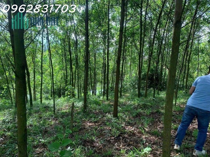 chủ cần tiền cắt lỗ nhanh lô đất 850m -400m tc bám hồ giá rẻ nhất thị trường