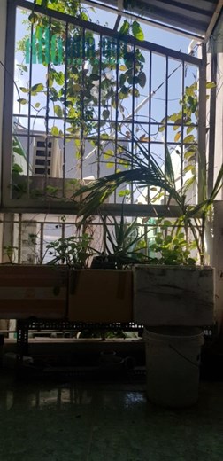 Bán nhà Bến Bình Đông Phường 15 Quận 8 36m2 2 tầng Chỉ: 3 tỷ