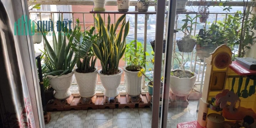 CĂN HỘ ĐẸP – Bán Nhanh Căn Hộ Chung Cư Trương Đình Hội Vị Trí Tại Phường 16, Quận 8, HCM