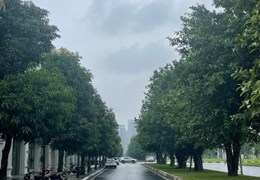 Sốc Quá Sốc, Chủ vừa hạ chào 6 tỷ, Biệt Thự Trung Văn, 160m, giá 21.8 tỷ