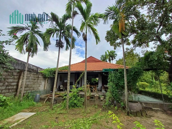 Biệt thự, nhà vườn 1200m full thổ, Vườn Lài , Quận 12