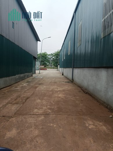 CẦN CHO THUÊ KHO XƯỞNG DUYÊN HÀ - THANH TRÌ 55K/M2, 700M2 GIÁ CHỈ 38.5 TRIỆU/THÁNG.