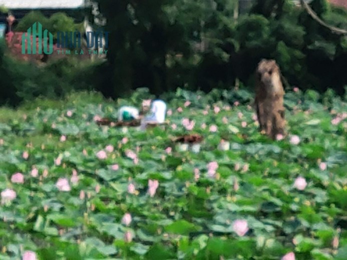 ĐẤT ĐẸP - ĐƯỜNG Ô TÔ - MẶT TIỀN RỘNG - Ở SƯỚNG - GIÁ RẺ - ĐẦU TƯ GIỮ TIỀN. giá 930 tr