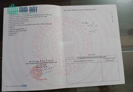 Chính chủ cần bán nhanh căn nhà cấp 4 Mặt Tiền Tỉnh Lộ 239 Thuộc Xã Trường Sơn – Lục Nam – Bắc