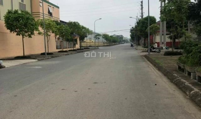 Bán 600m2 đất cạnh khu công nghiệp Quất Động, Thường Tín