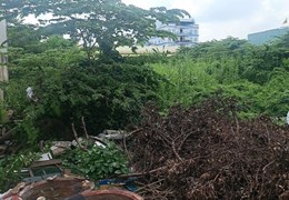 Bán nhanh lô Đất 2000m2, ngay Bệnh Viện Bình Tân - Hương lộ 2, DT: 32x65m, Vuông,29.9 tỷ