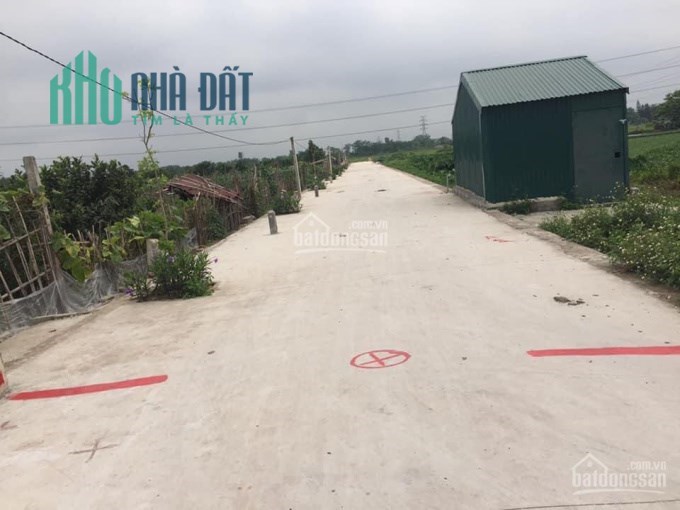 Kẹt tiền bán nhanh 124m2 đất Quất Động, Thường Tín giá đầu tư.