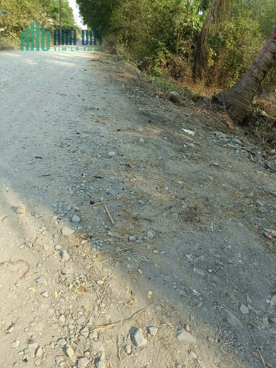 BAN DAT THO CU, XA HUU THANH ,DUC HOA,LONG AN .MAT TIEN DUONG DA XANH 6M. DT 220M2 , GIA 1,1 TY