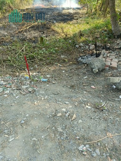 BAN DAT THO CU, XA HUU THANH ,DUC HOA,LONG AN .MAT TIEN DUONG DA XANH 6M. DT 220M2 , GIA 1,1 TY