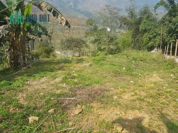 ĐẤT ĐẸP - GIÁ TỐT - Cần Bán Lô Đất Vị Trí Đắc Địa Tại Xã Tả Van Thị Xã Sapa, Lào Cai