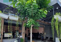 CẦN SHARE MẶT BẰNG BÁN ĐIỂM TÂM Xô Viết Nghệ Tĩnh – quận Bình Thạnh – Tp Hồ Chí Minh