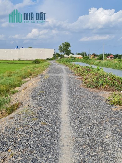BAN 10.000M2 DAT THO CU THI TRAN DUC HOA ,  DUC HOA , LONG AN